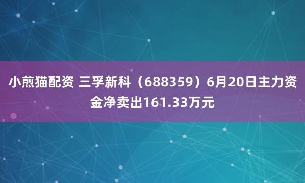 小煎猫配资 三孚新科（688359）6月20日主力资金净卖出161.33万元