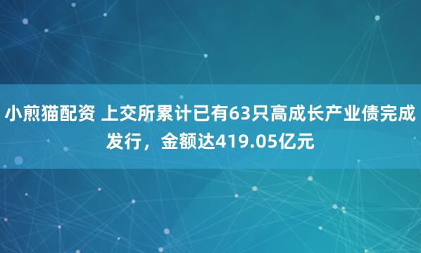 小煎猫配资 上交所累计已有63只高成长产业债完成发行，金额达419.05亿元