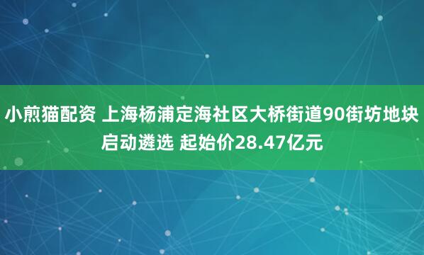 小煎猫配资 上海杨浦定海社区大桥街道90街坊地块启动遴选 起始价28.47亿元