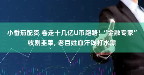 小番茄配资 卷走十几亿U币跑路! “金融专家”收割韭菜, 老百姓血汗钱打水漂